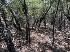 20610 Agarita Drive Leander, TX 78645