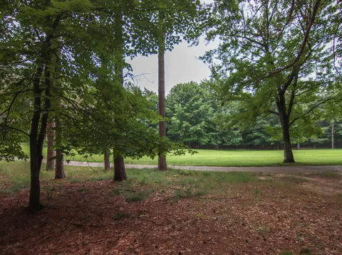 Trailside Drive