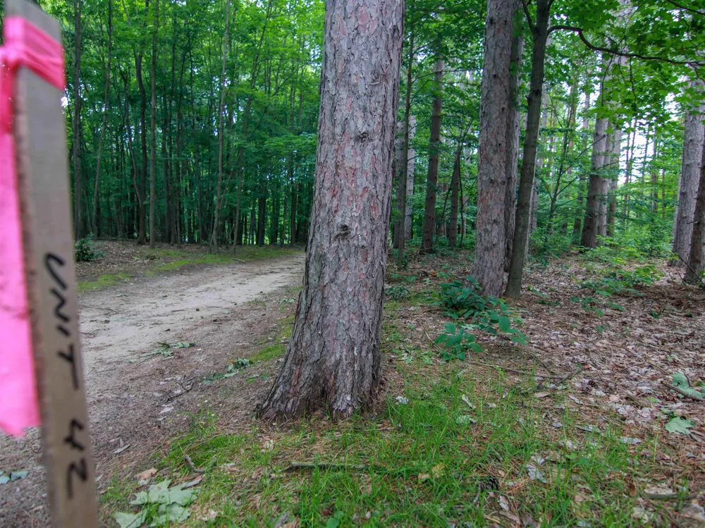 Trailside Drive Weldon Township, MI 49683