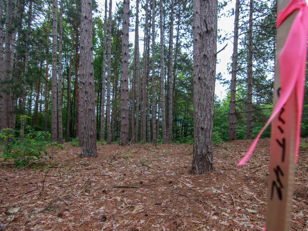 Trailside Drive Weldon Township, MI 49683