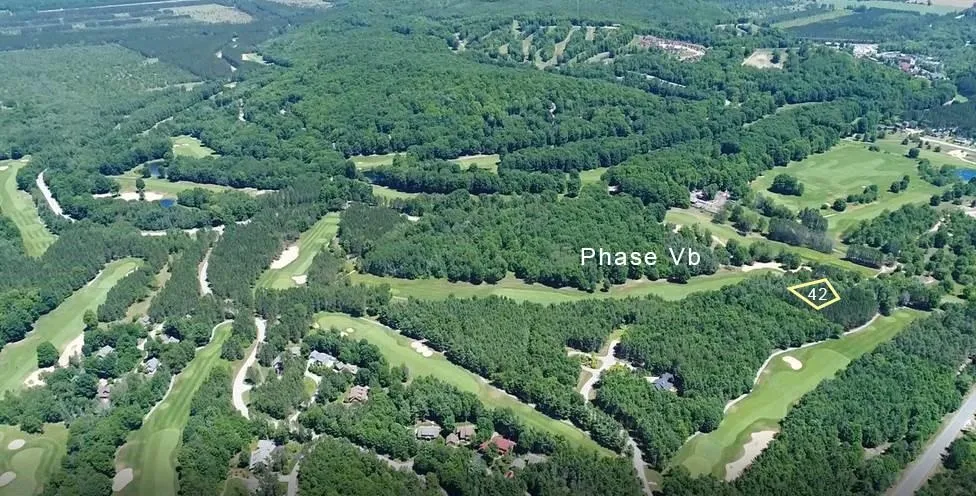 Trailside Drive Weldon Township, MI 49683