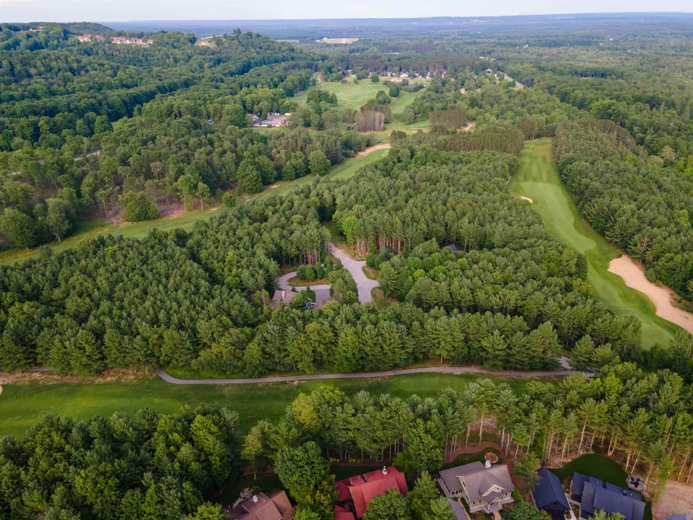 Trailside Drive Weldon Township, MI 49683