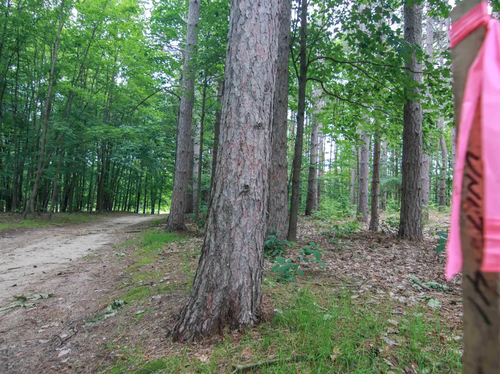 Trailside Drive Weldon Township, MI 49683