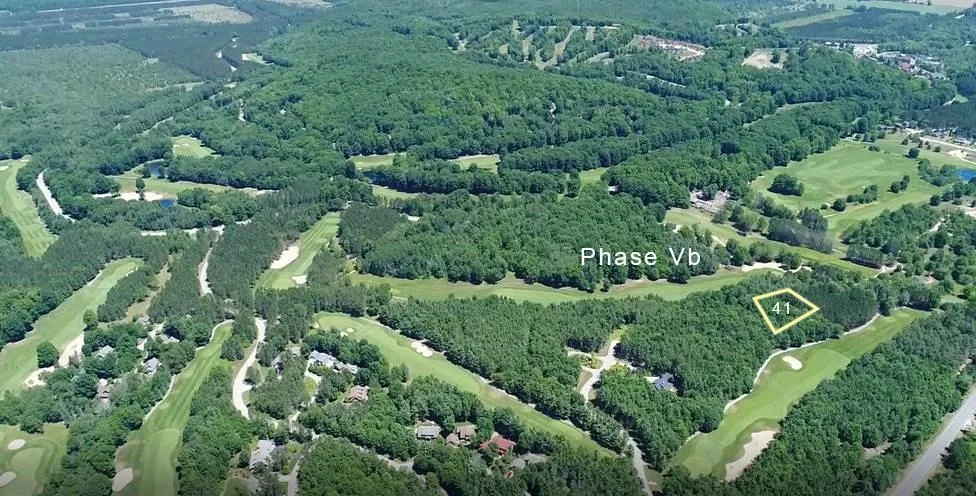 Trailside Drive Weldon Township, MI 49683