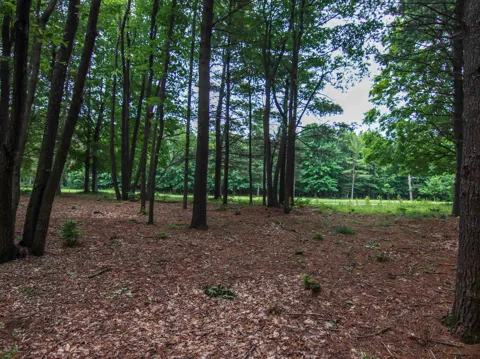 Trailside Drive