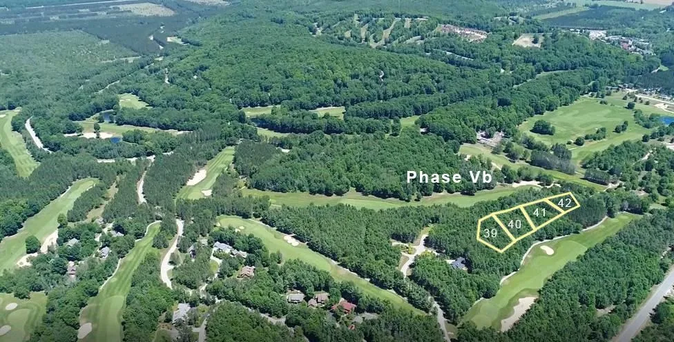 Trailside Drive Weldon Township, MI 49683