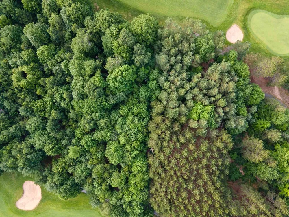 Trailside Drive Weldon Township, MI 49683