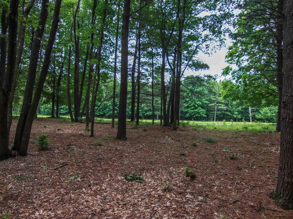 Trailside Drive Weldon Township, MI 49683