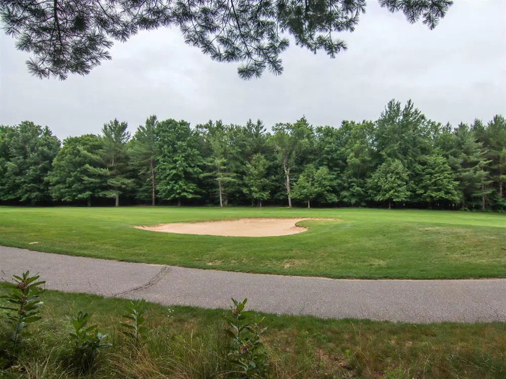 Trailside Drive Weldon Township, MI 49683