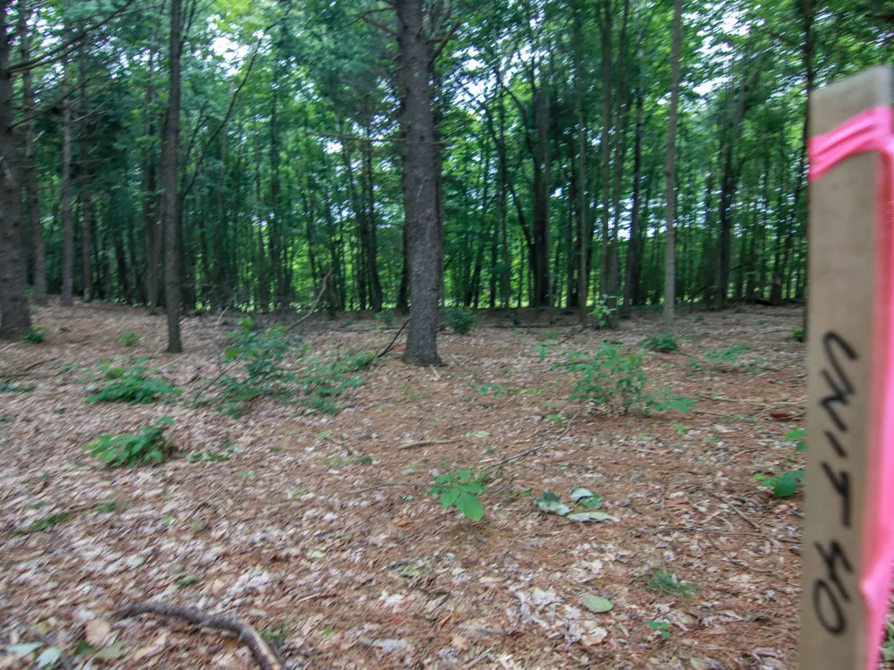 Trailside Drive Weldon Township, MI 49683