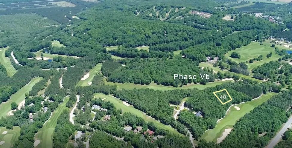 Trailside Drive Weldon Township, MI 49683
