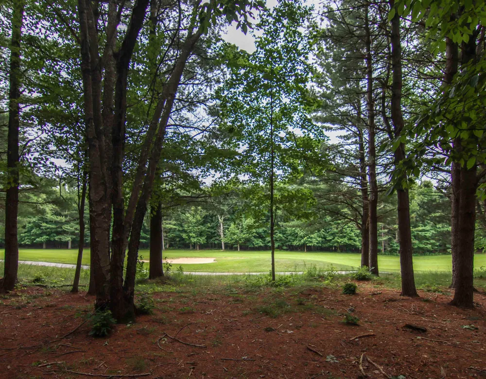 Trailside Drive Weldon Township, MI 49683