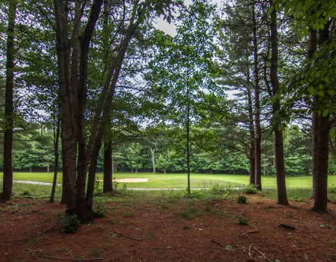 Trailside Drive
