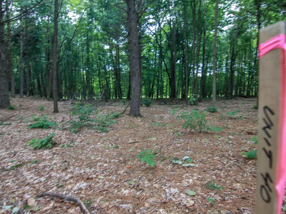 Trailside Drive Weldon Township, MI 49683