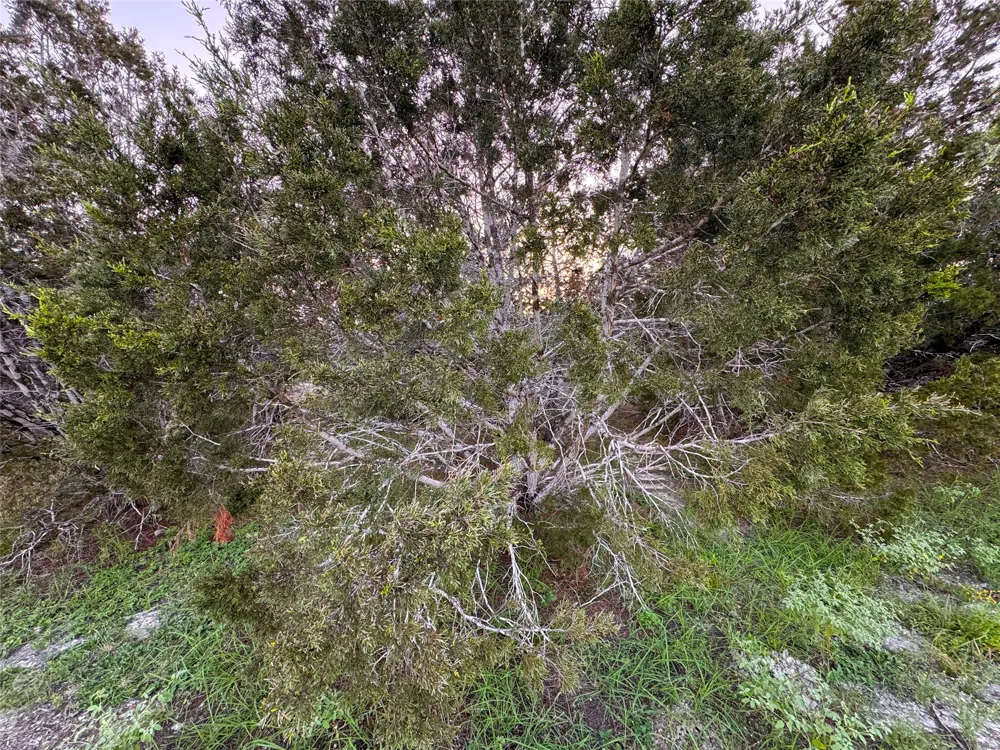 1001 Oblate Drive Canyon Lake, TX 78133