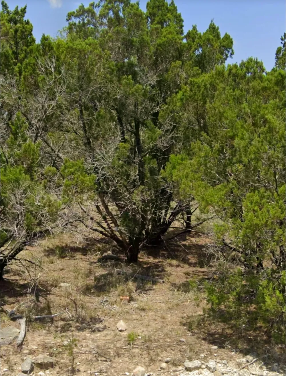 1001 Oblate Drive Canyon Lake, TX 78133