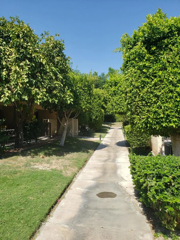 200 E Racquet Club Road #31 Palm Springs, CA 92262