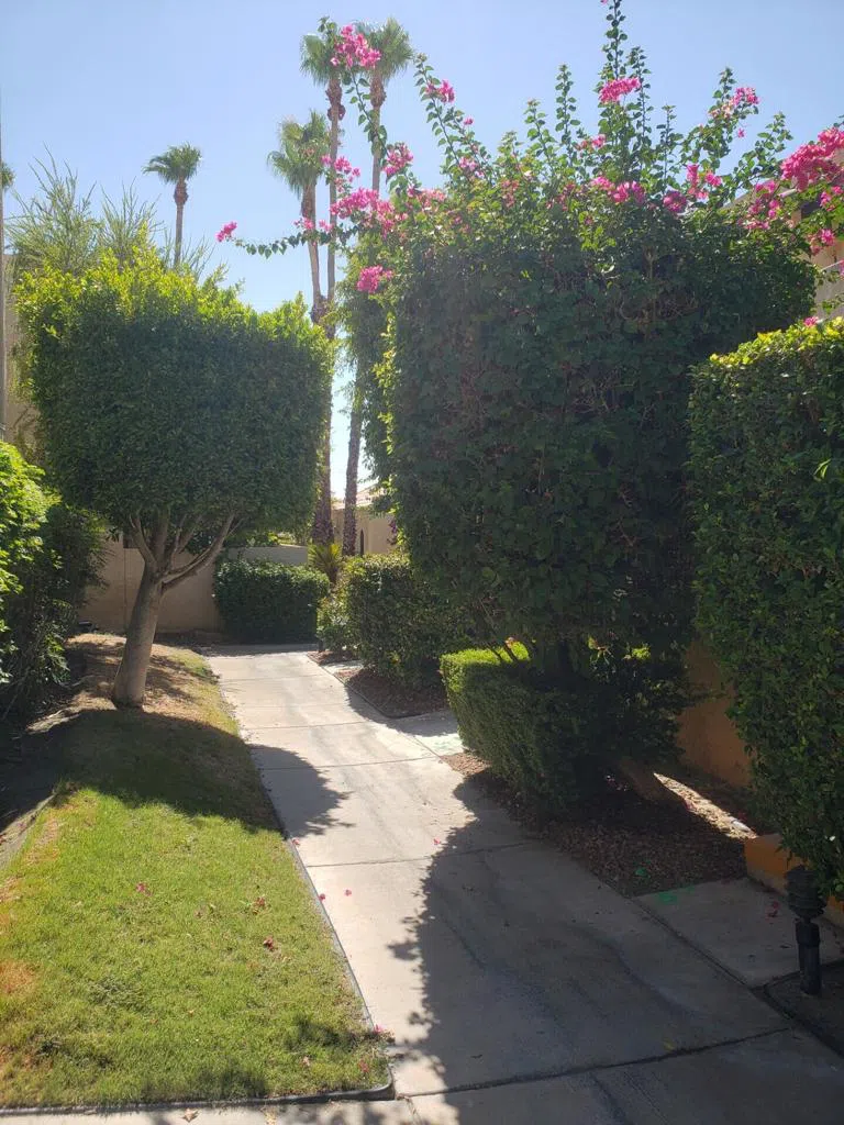 200 E Racquet Club Road #31 Palm Springs, CA 92262