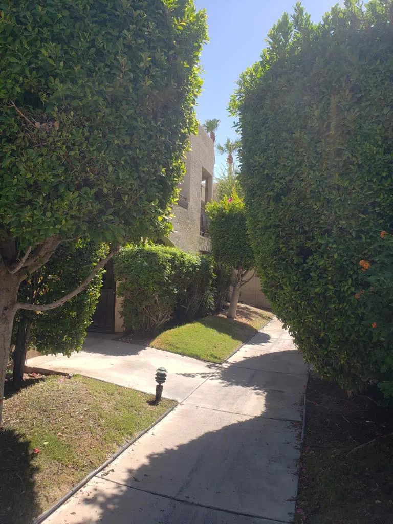 200 E Racquet Club Road #31 Palm Springs, CA 92262