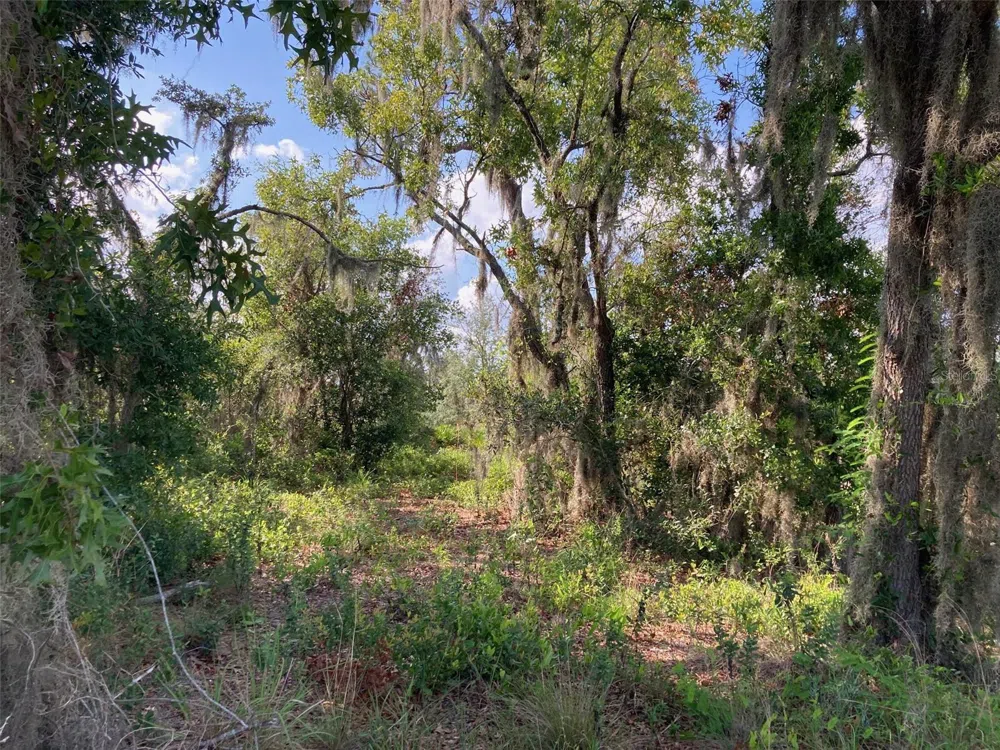 0 3RD AVENUE Babson Park, FL 33827