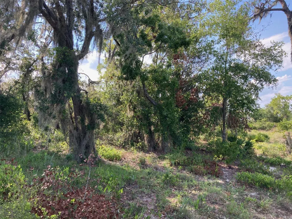 0 3RD AVENUE Babson Park, FL 33827