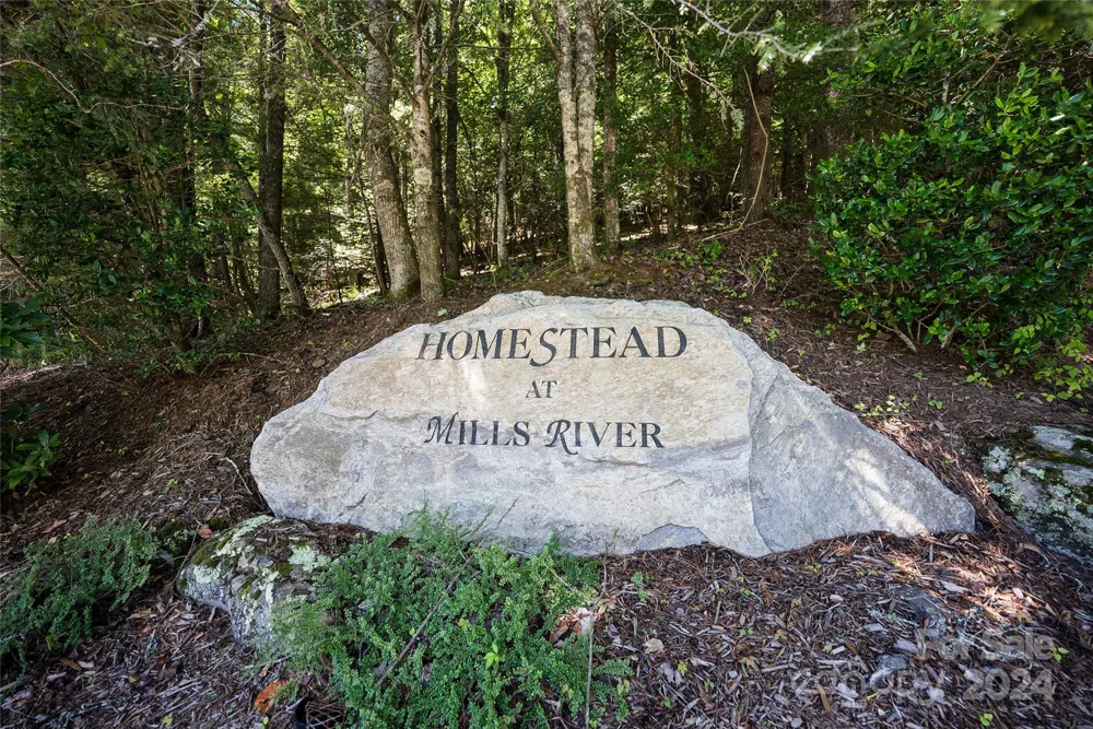 1018 Mills River Way Horse Shoe, NC 28742