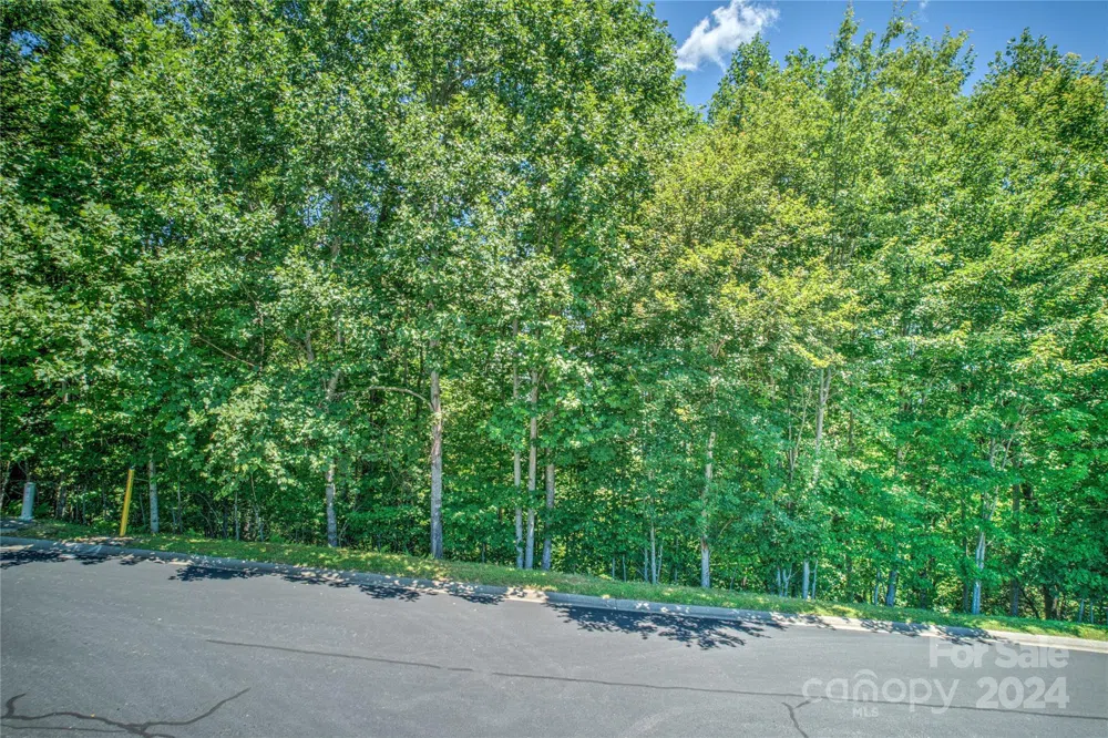 1018 Mills River Way Horse Shoe, NC 28742