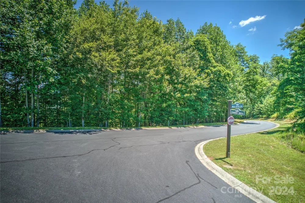 1018 Mills River Way Horse Shoe, NC 28742