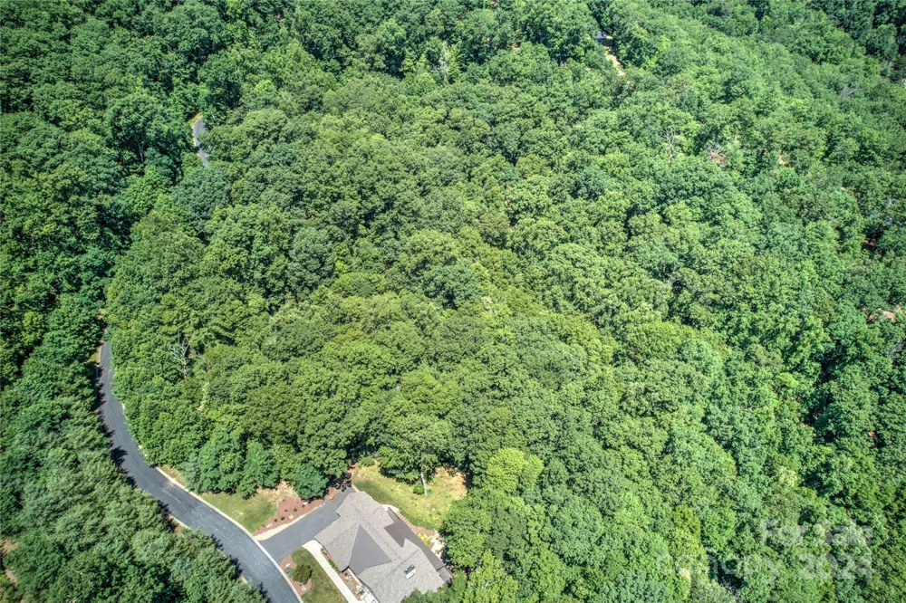567 Shining Rock Path Horse Shoe, NC 28742