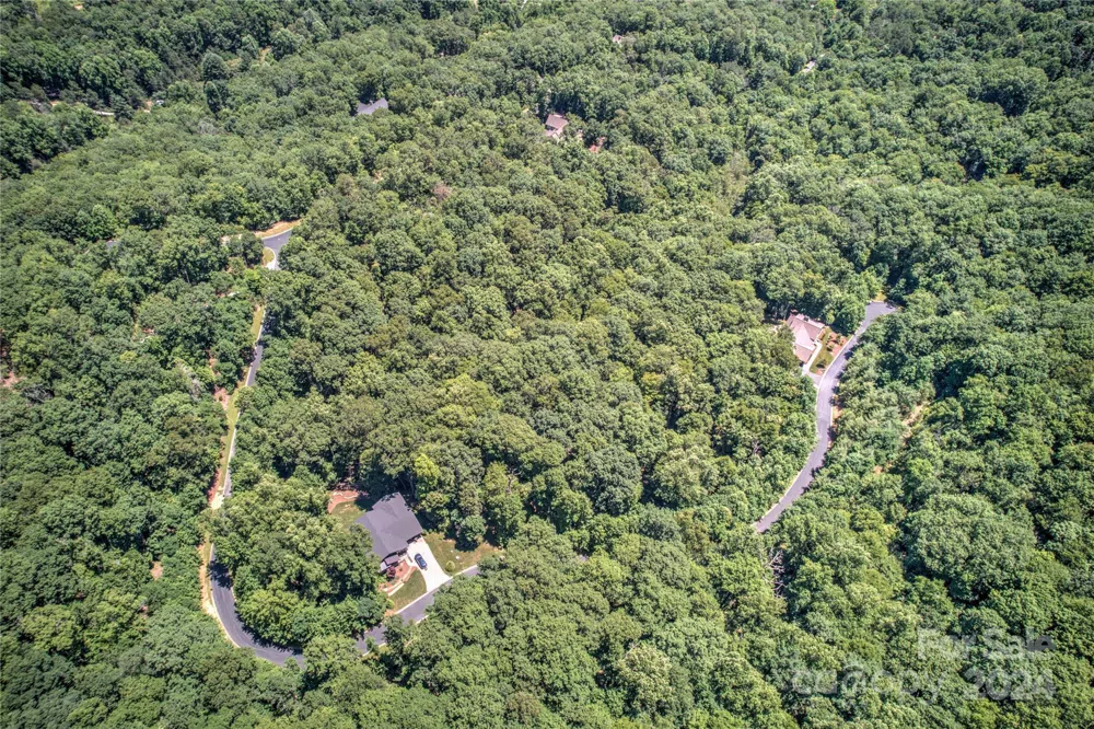 567 Shining Rock Path Horse Shoe, NC 28742