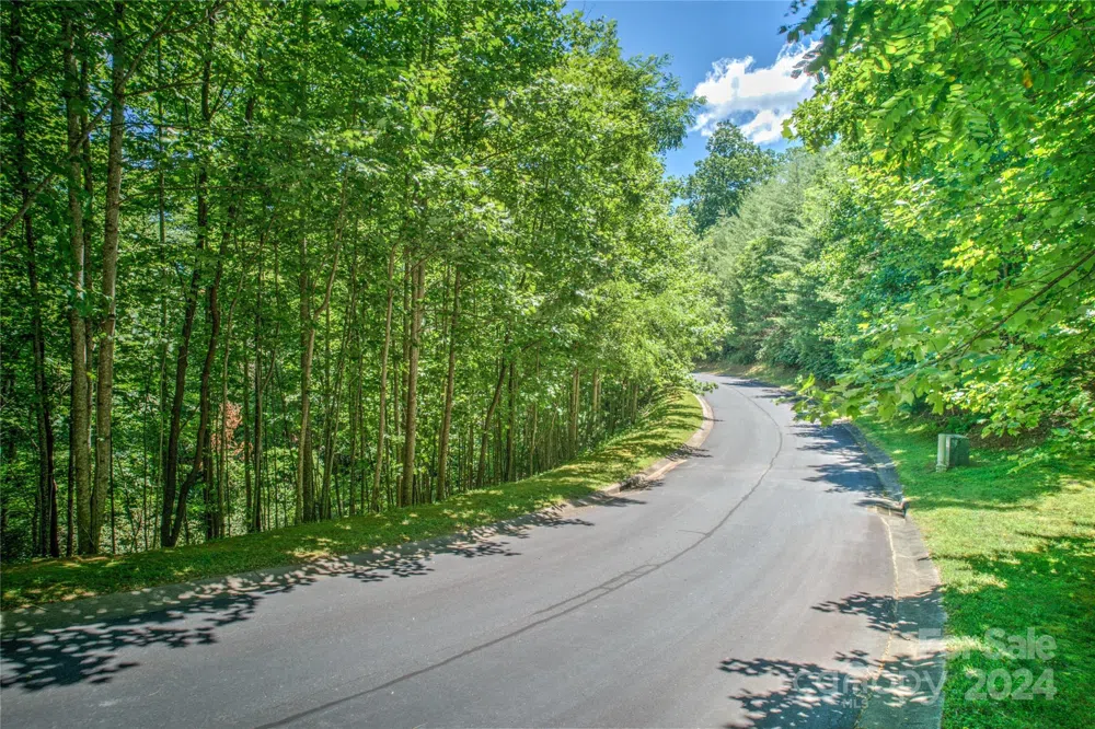 567 Shining Rock Path Horse Shoe, NC 28742