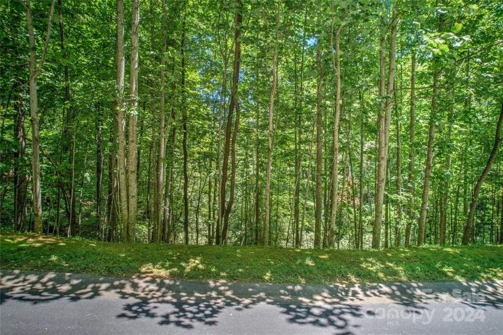 567 Shining Rock Path Horse Shoe, NC 28742