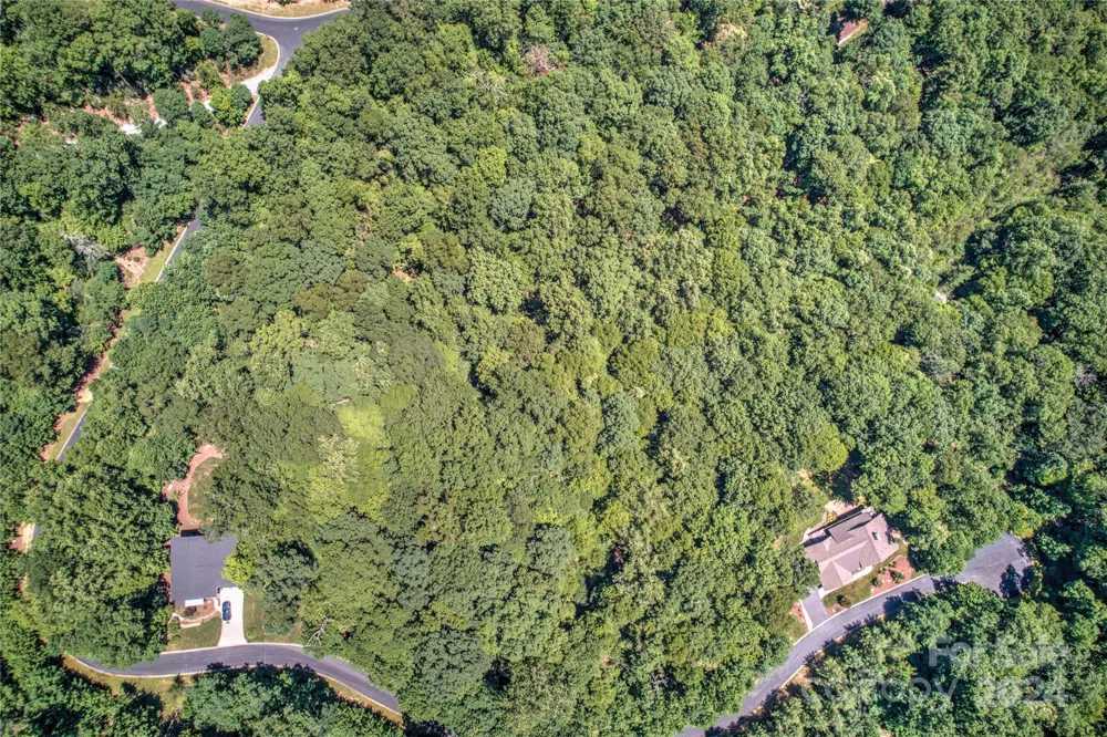 567 Shining Rock Path Horse Shoe, NC 28742
