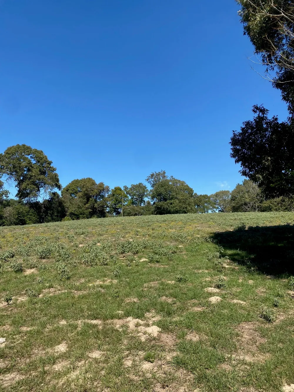 County Road 242 Oakwood, TX 75855