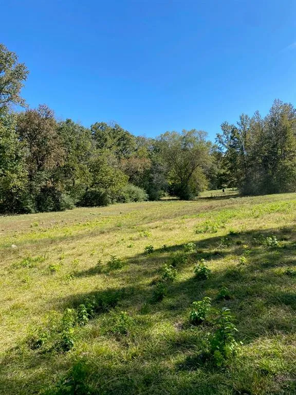 County Road 242 Oakwood, TX 75855