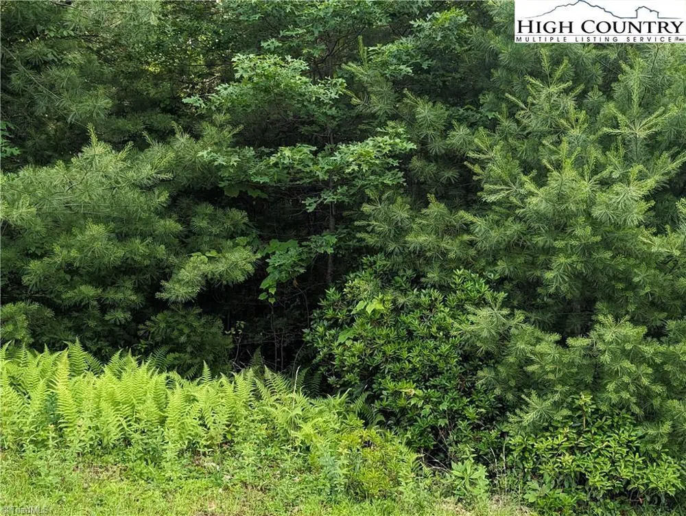 Lot 12 Briarwood Lane Sparta, NC 28675