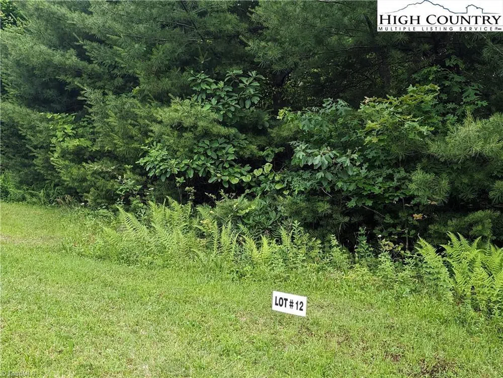 Lot 12 Briarwood Lane Sparta, NC 28675