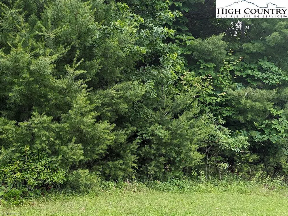 Lot 12 Briarwood Lane Sparta, NC 28675