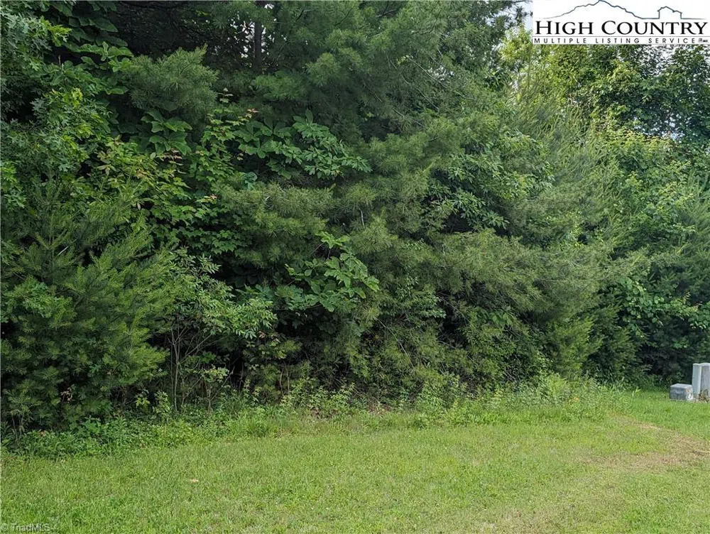 Lot 12 Briarwood Lane Sparta, NC 28675