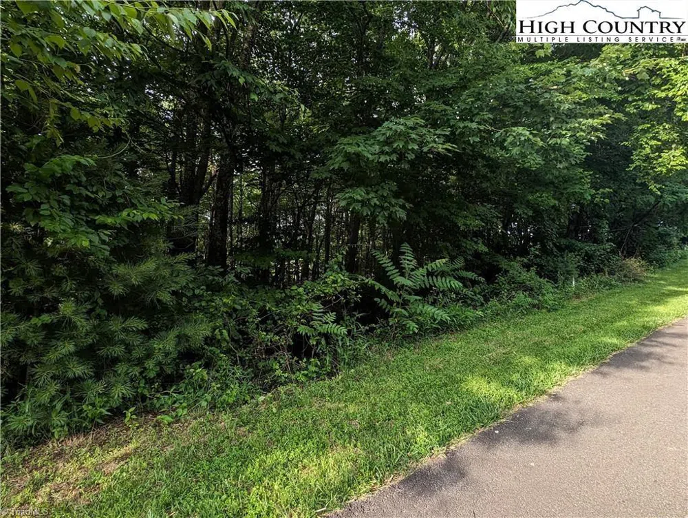 Lot 5 Briarwood Lane Sparta, NC 28675