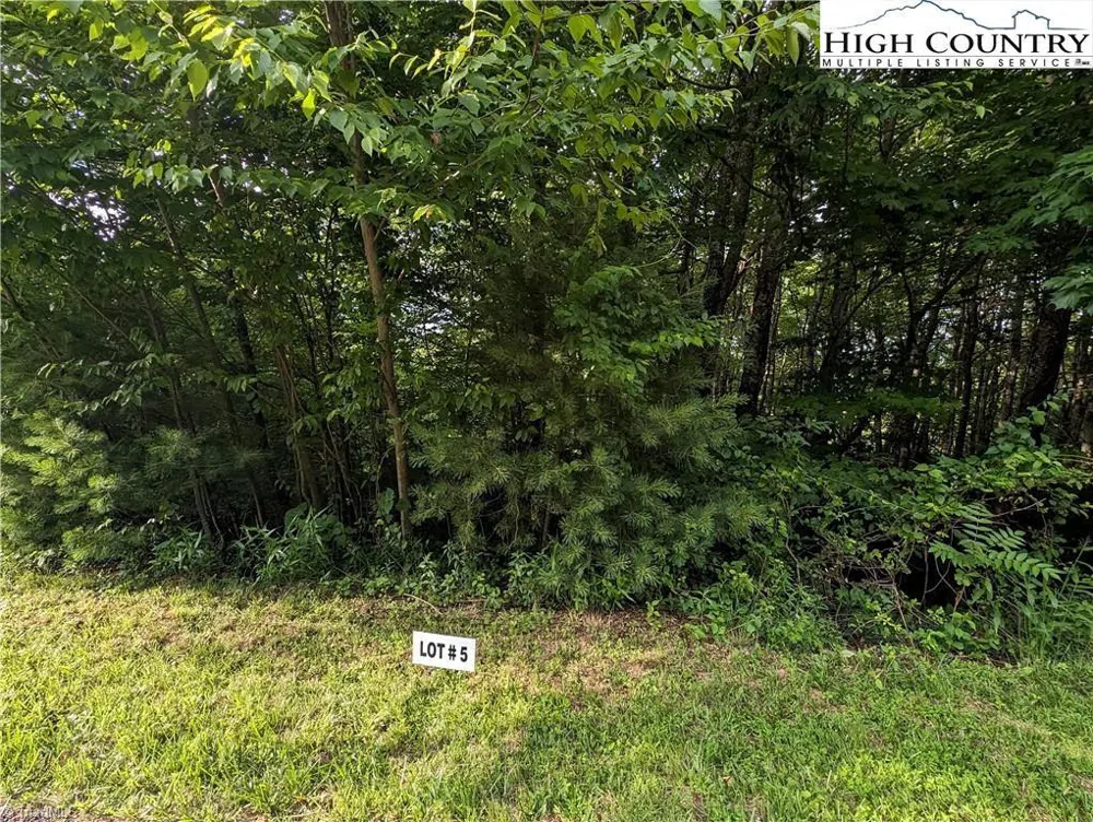 Lot 5 Briarwood Lane Sparta, NC 28675