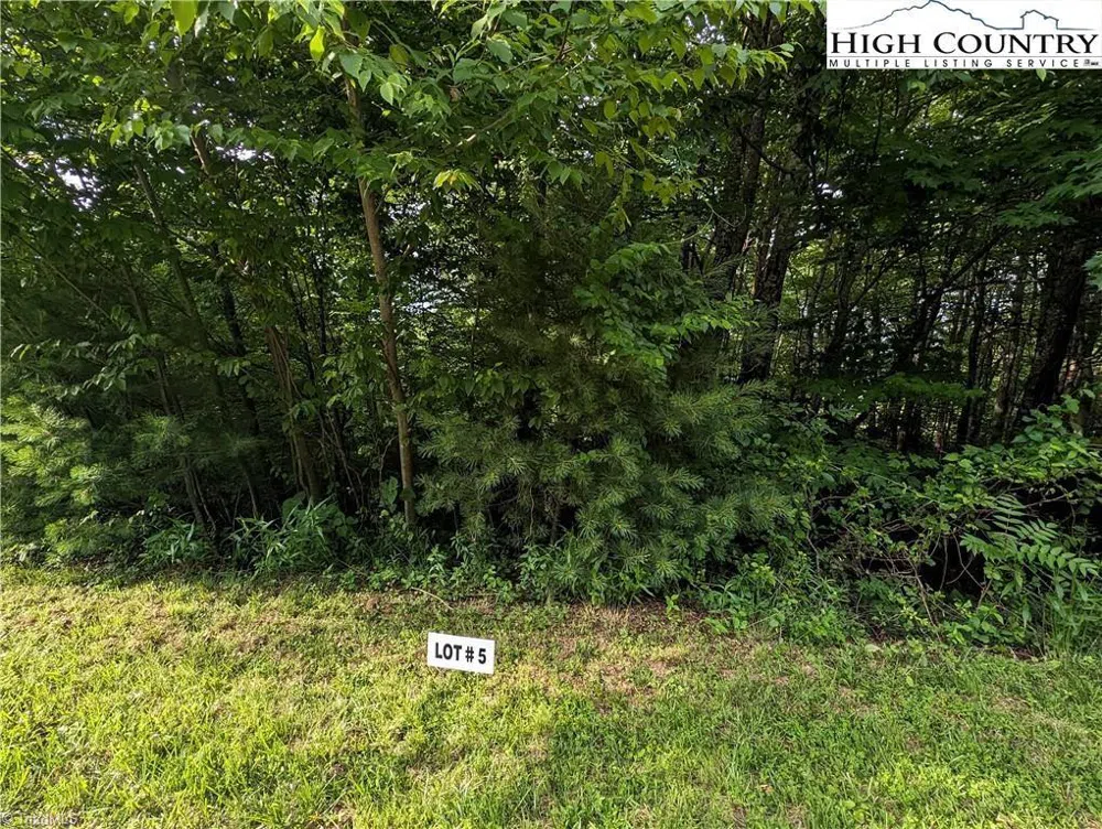 Lot 5 Briarwood Lane Sparta, NC 28675