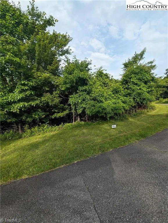 Lot 4 Briarwood Lane Sparta, NC 28675