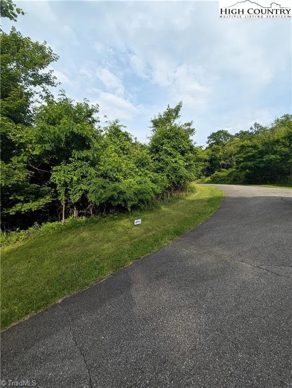 Lot 4 Briarwood Lane Sparta, NC 28675