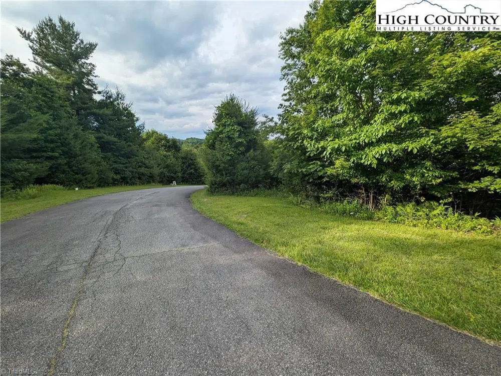 Lot 4 Briarwood Lane Sparta, NC 28675