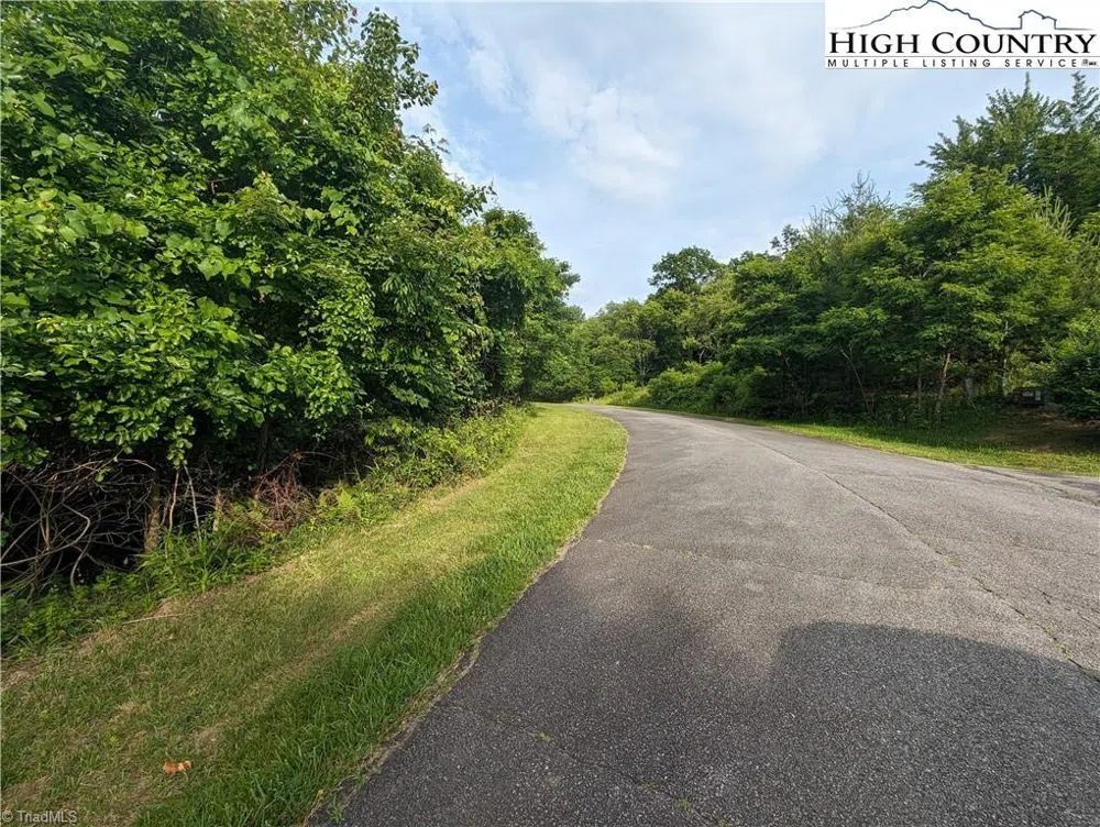 Lot 4 Briarwood Lane Sparta, NC 28675