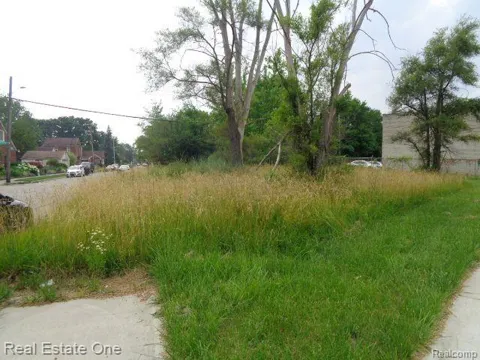18553 JAMES COUZENS Freeway
