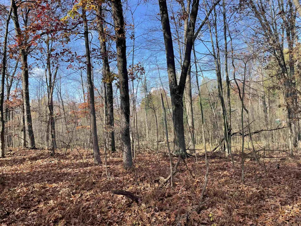 First Street Mills Township, MI 48756