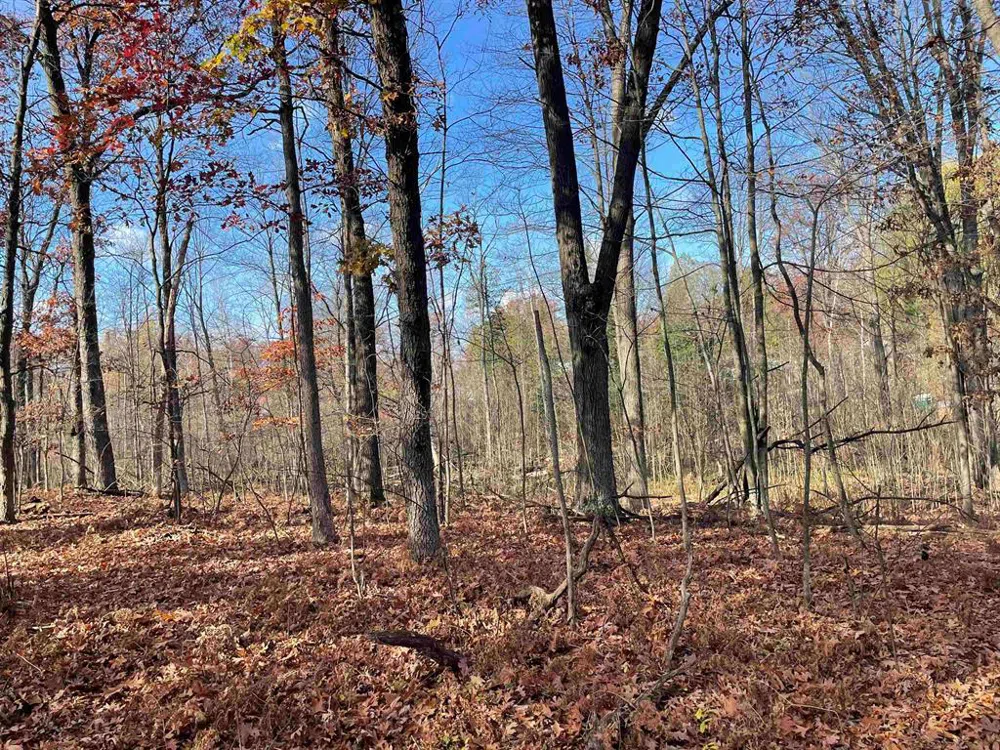 First Street Mills Township, MI 48756