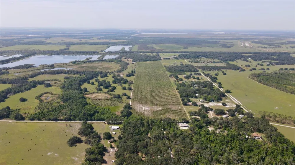 Address Not Shown Lithia, FL 33547